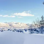 Pet Friendly In With Sauna Hovden (Aust-Agder)